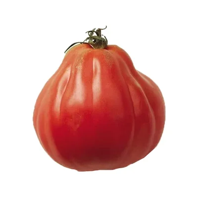 1 Plantin Tomate Especial de herencia Corazón-De-Buey