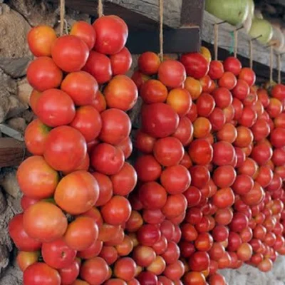 1 Plantin Especial De Herencia Tomate Ramallet