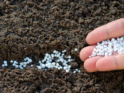 1 Urea Fertilizante (Nitrogeno) granulado