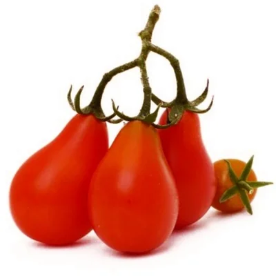 1 Plantin Tomate Cherry Perita