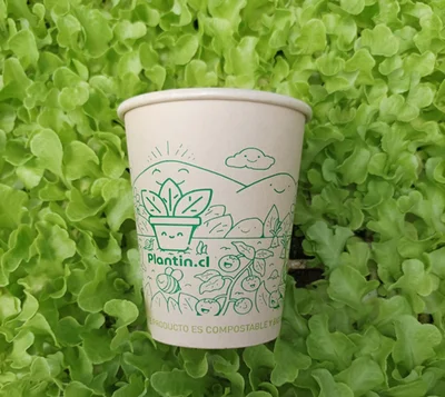 10 Maceterito Ecológico Biodegradable 200cc
