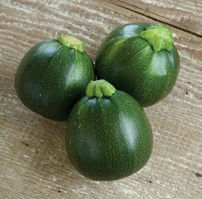 1 Plantin Zapallo Italiano Bola-8
