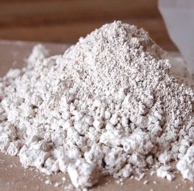 1 Control de plagas Diatomeas 100g - polvo mágico - ecológico