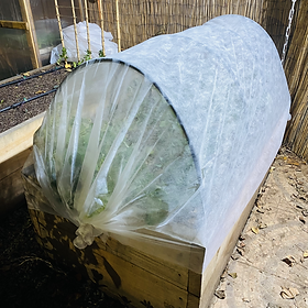 La huerta de invierno