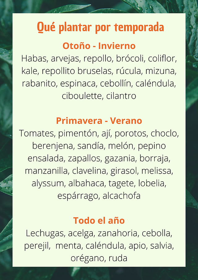 que plantar por temporada