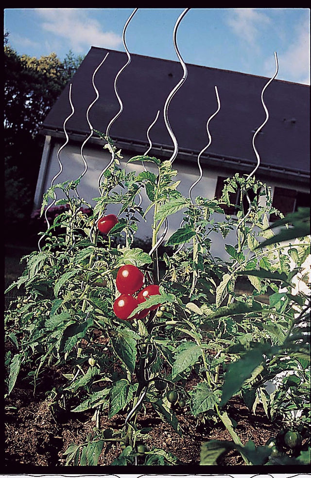 Tutorial del Tomates