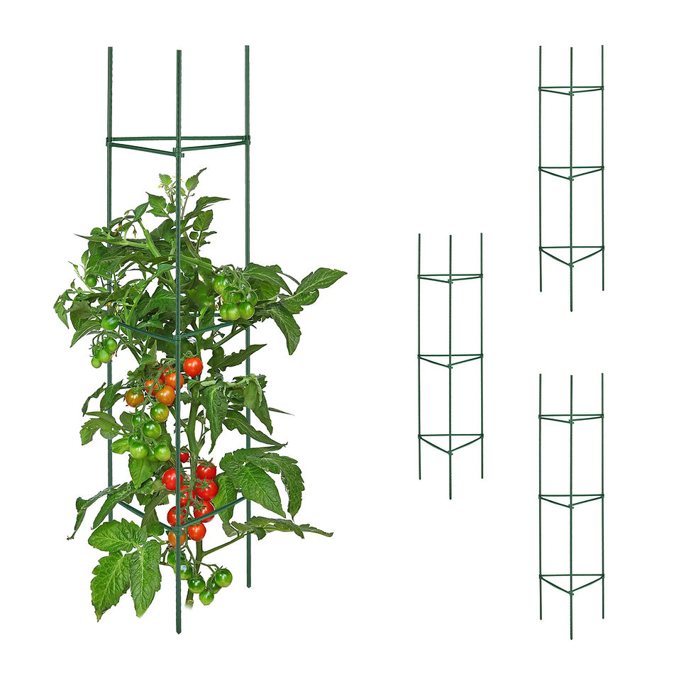 Tutorial del Tomates