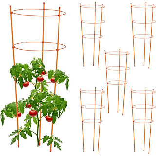 Tutorial del Tomates