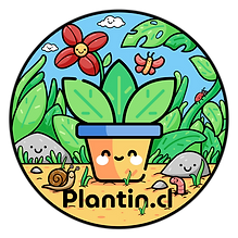 https://www.plantin.cl/