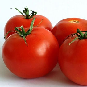 Tomate Cal Ace Rojo (normal)