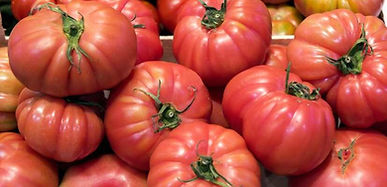 Tomate Rosado Limachino