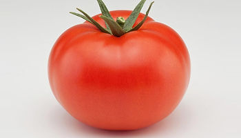 Tutorial del Tomates